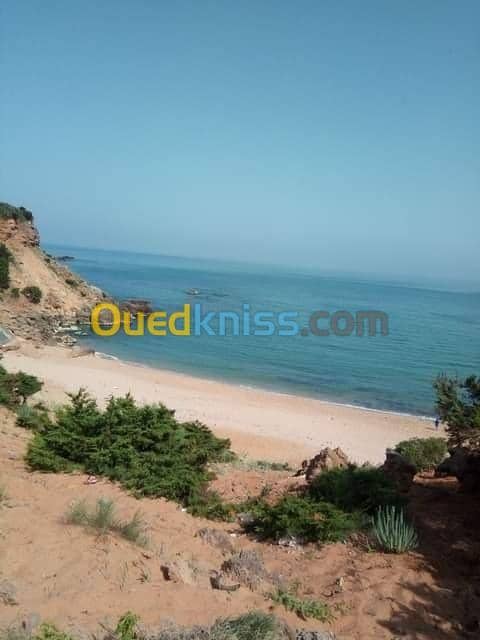 Location vacances Villa El taref El kala 28