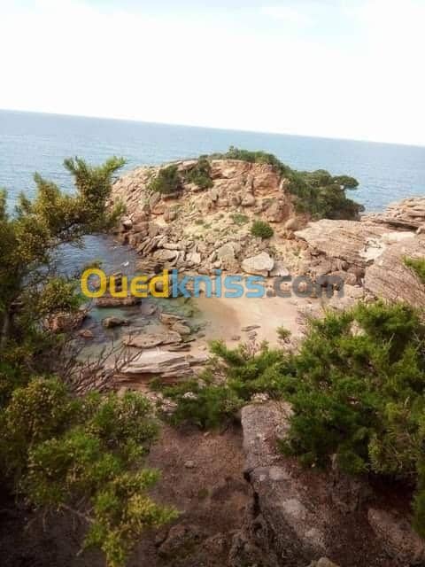 Location vacances Villa El taref El kala 29