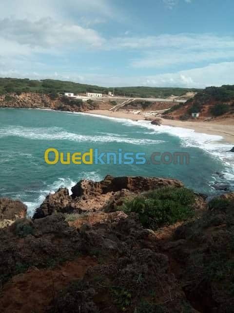 Location vacances Villa El taref El kala 30