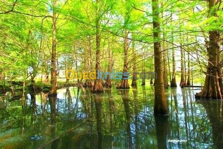 Location vacances Villa El taref El kala 34