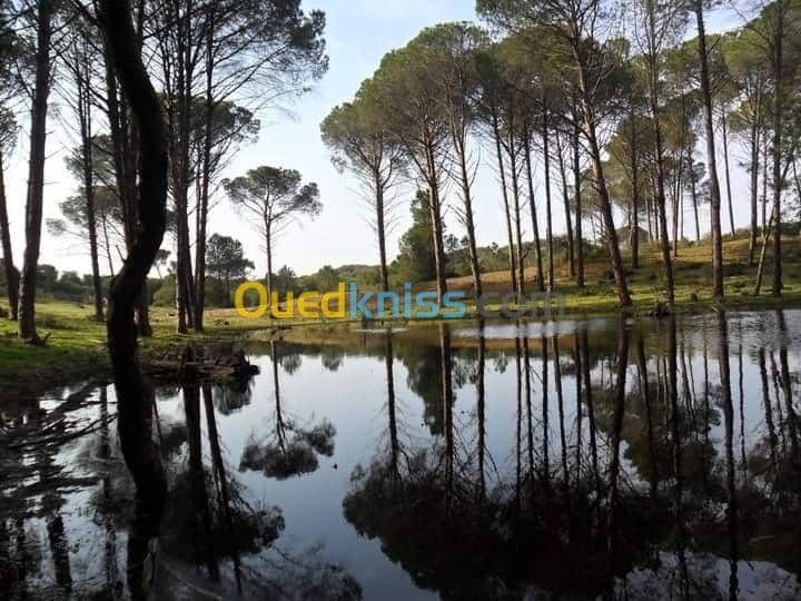 Location vacances Villa El taref El kala 36