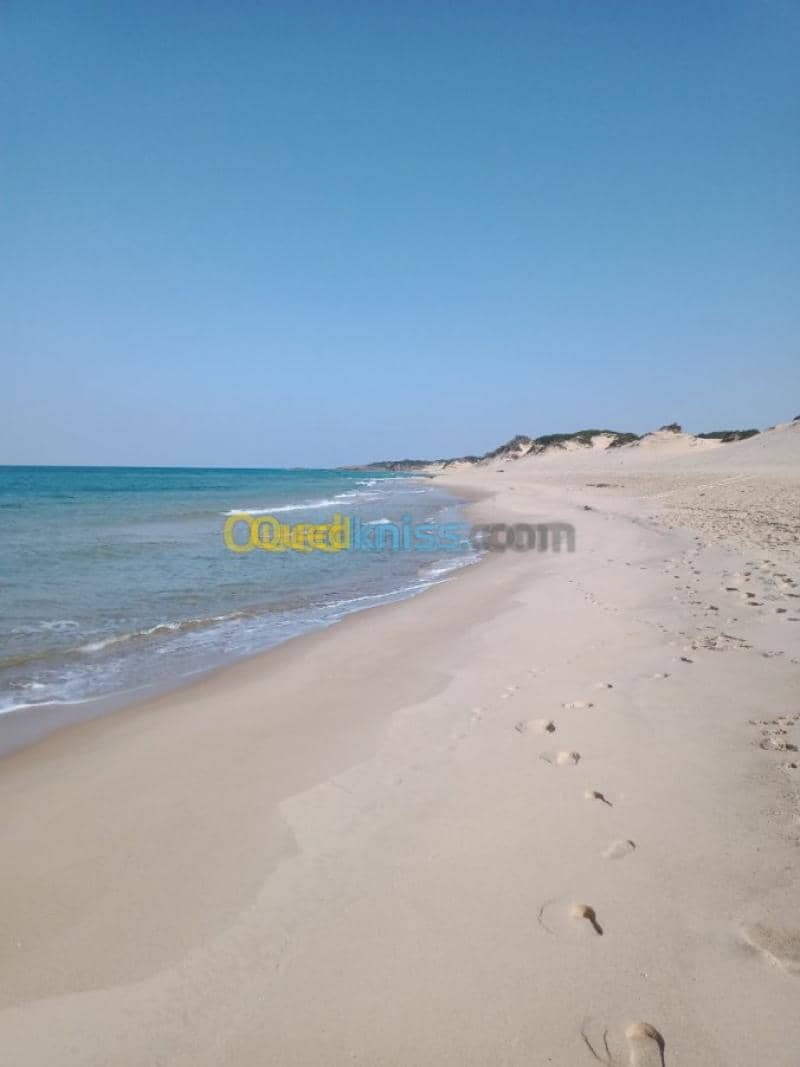 Location vacances Villa El taref El kala 37