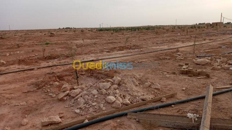 Vente Terrain Agricole Biskra Oumache