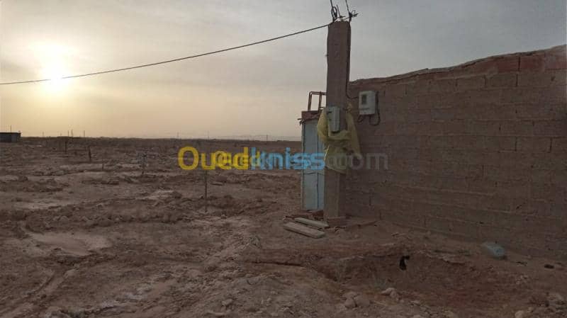 Vente Terrain Agricole Biskra Oumache 3