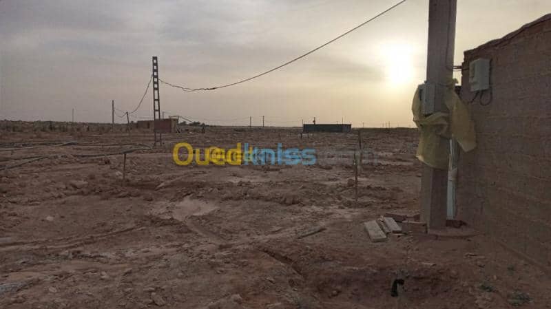 Vente Terrain Agricole Biskra Oumache 4