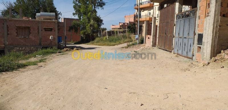 Vente Terrain Tlemcen Chetouane 2