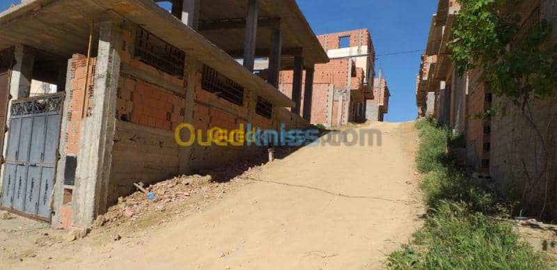 Vente Terrain Tlemcen Chetouane 3