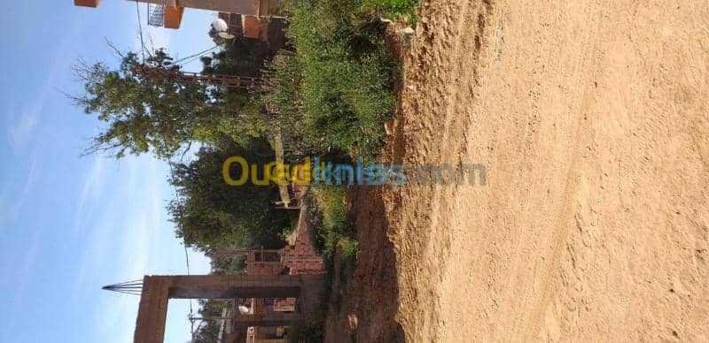 Vente Terrain Tlemcen Chetouane 4