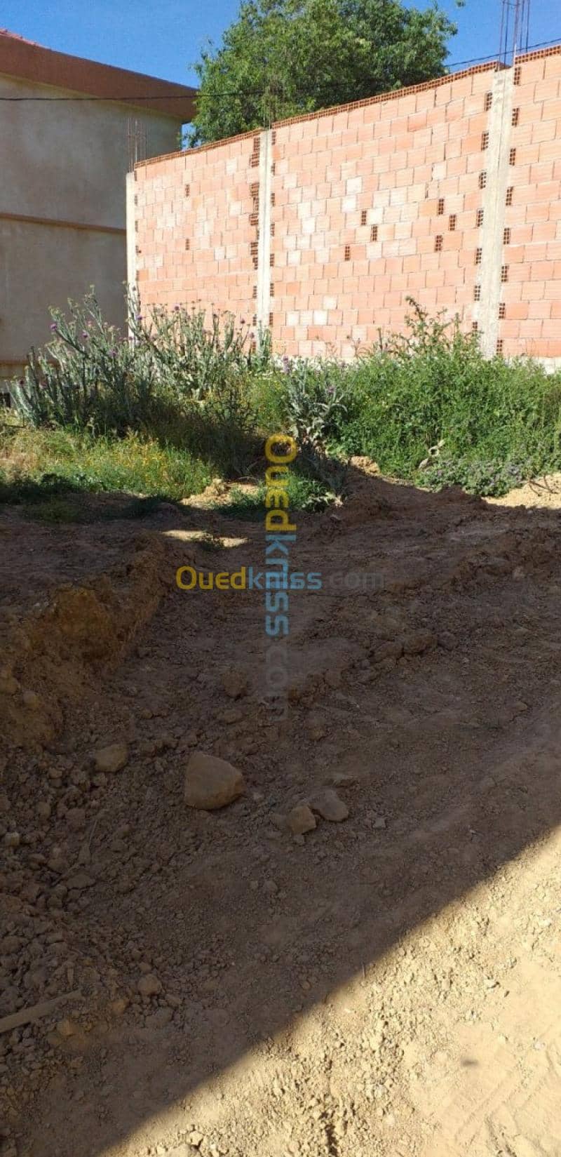 Vente Terrain Tlemcen Chetouane 8