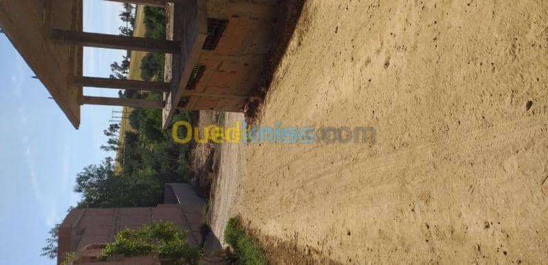 Vente Terrain Tlemcen Chetouane 9