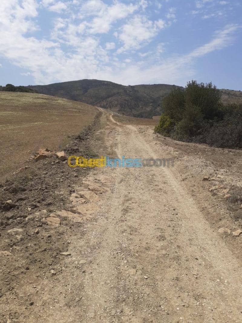 Vente Terrain Ain defla Hammam righa 16
