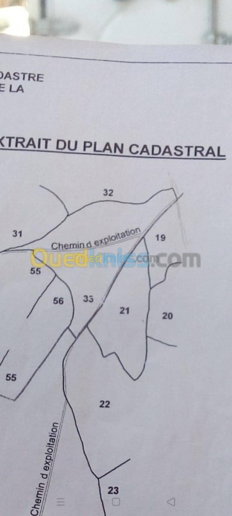 Vente Terrain Setif Guidjel