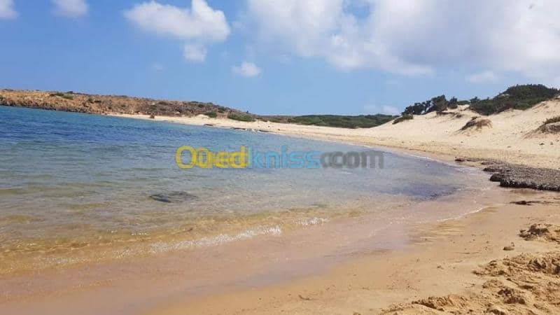 Location vacances Villa El taref El kala