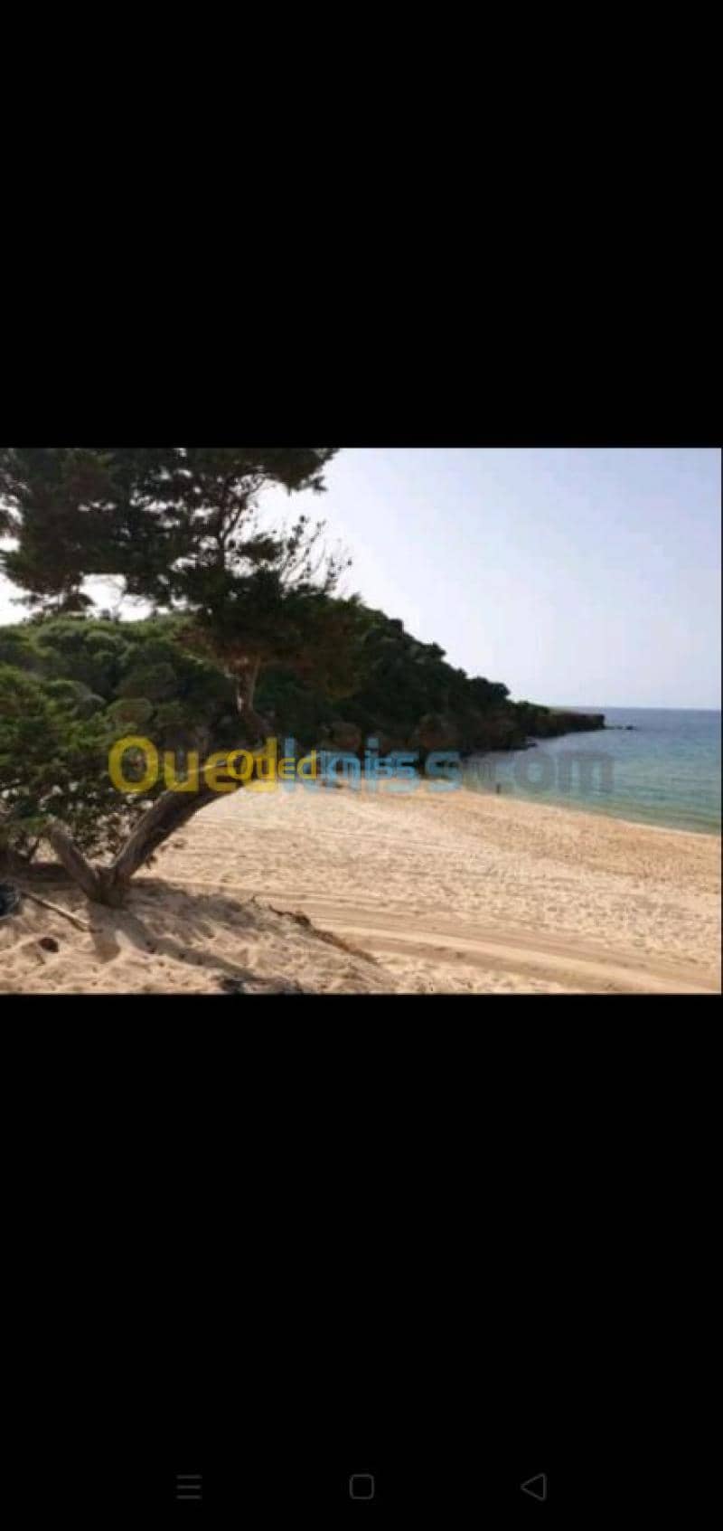 Location vacances Villa El taref El kala 17