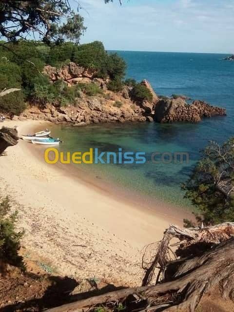 Location vacances Villa El taref El kala 20