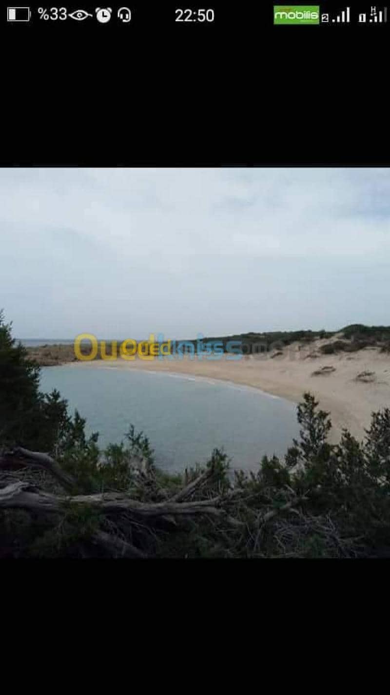 Location vacances Villa El taref El kala 21