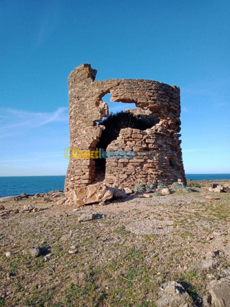 Location vacances Villa El taref El kala 25