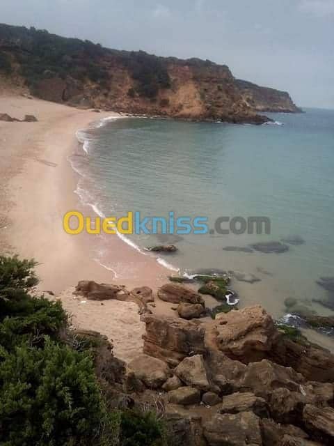 Location vacances Villa El taref El kala 26