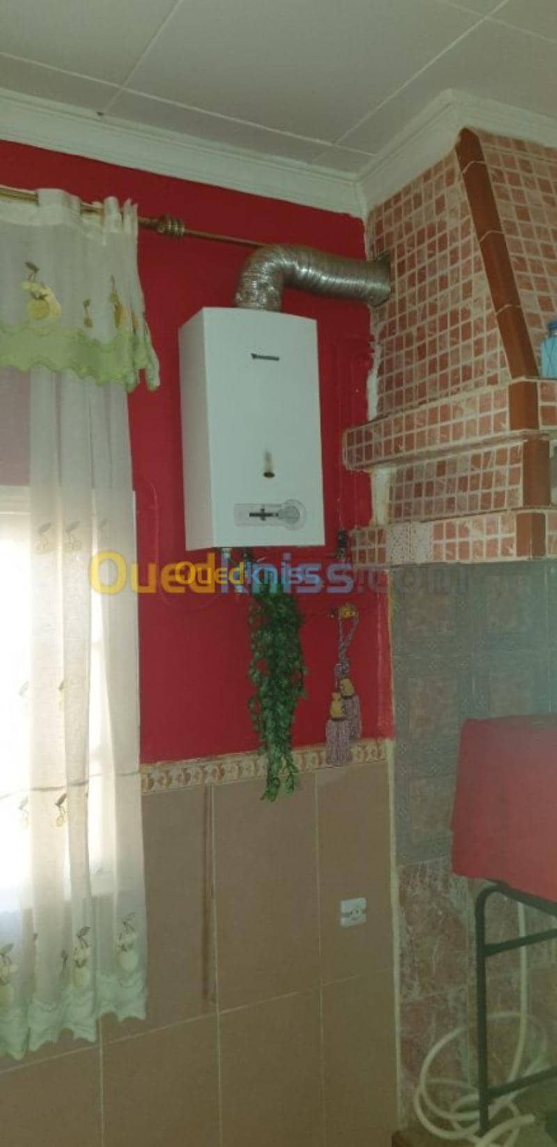 Vente bien immobilier Tiaret Dahmouni 11