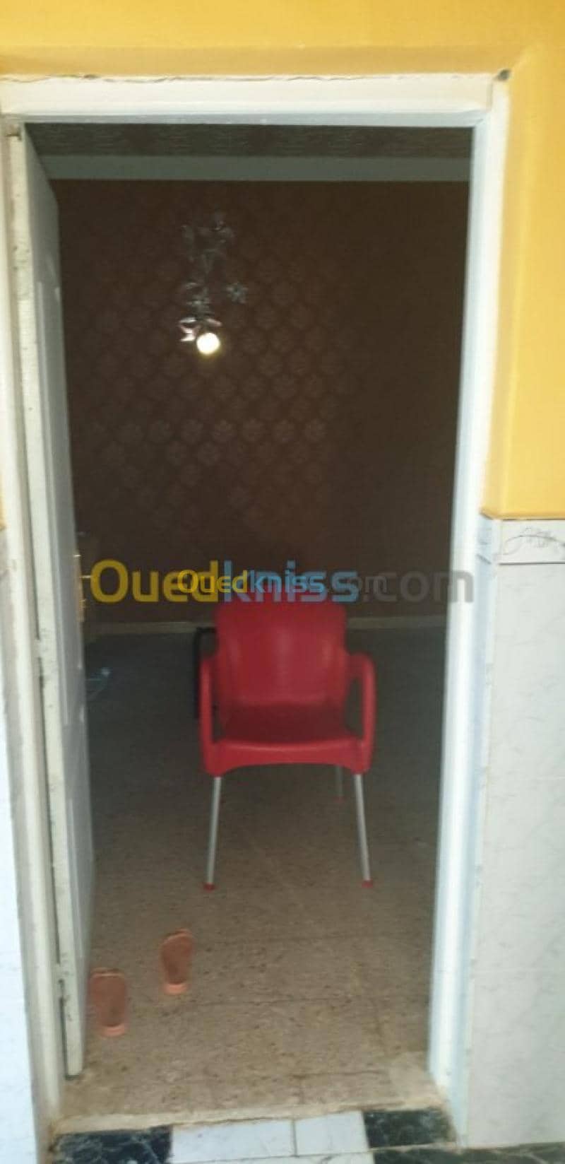 Vente bien immobilier Tiaret Dahmouni 15