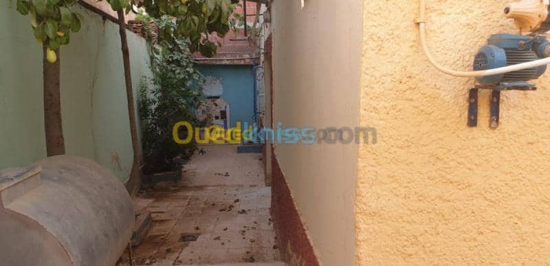 Vente bien immobilier Tiaret Dahmouni 25