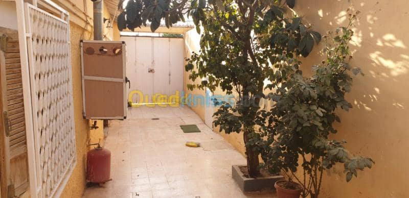 Vente bien immobilier Tiaret Dahmouni 26