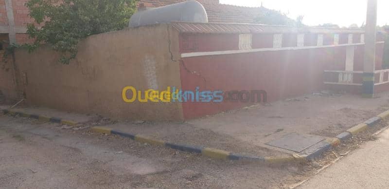 Vente bien immobilier Tiaret Dahmouni 4