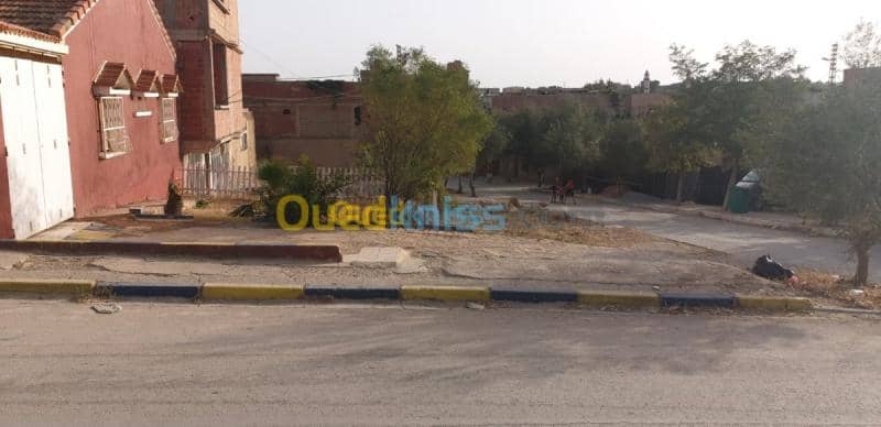 Vente bien immobilier Tiaret Dahmouni 5