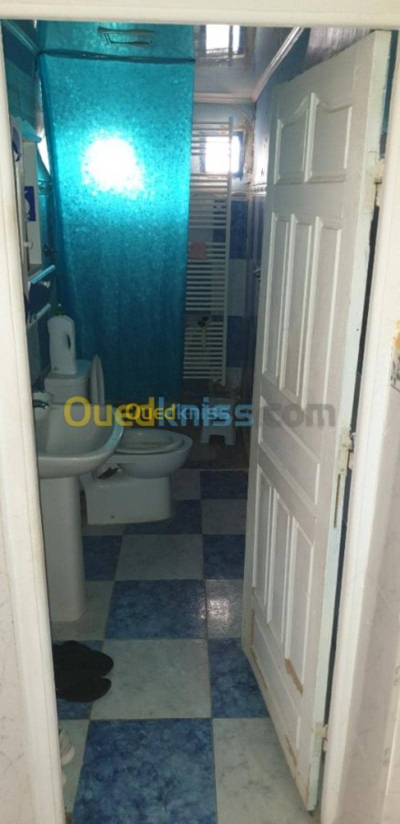 Vente bien immobilier Tiaret Dahmouni 7