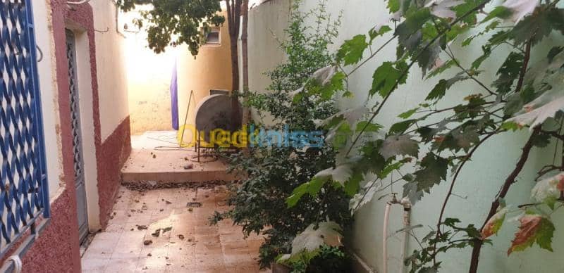 Vente bien immobilier Tiaret Dahmouni 9
