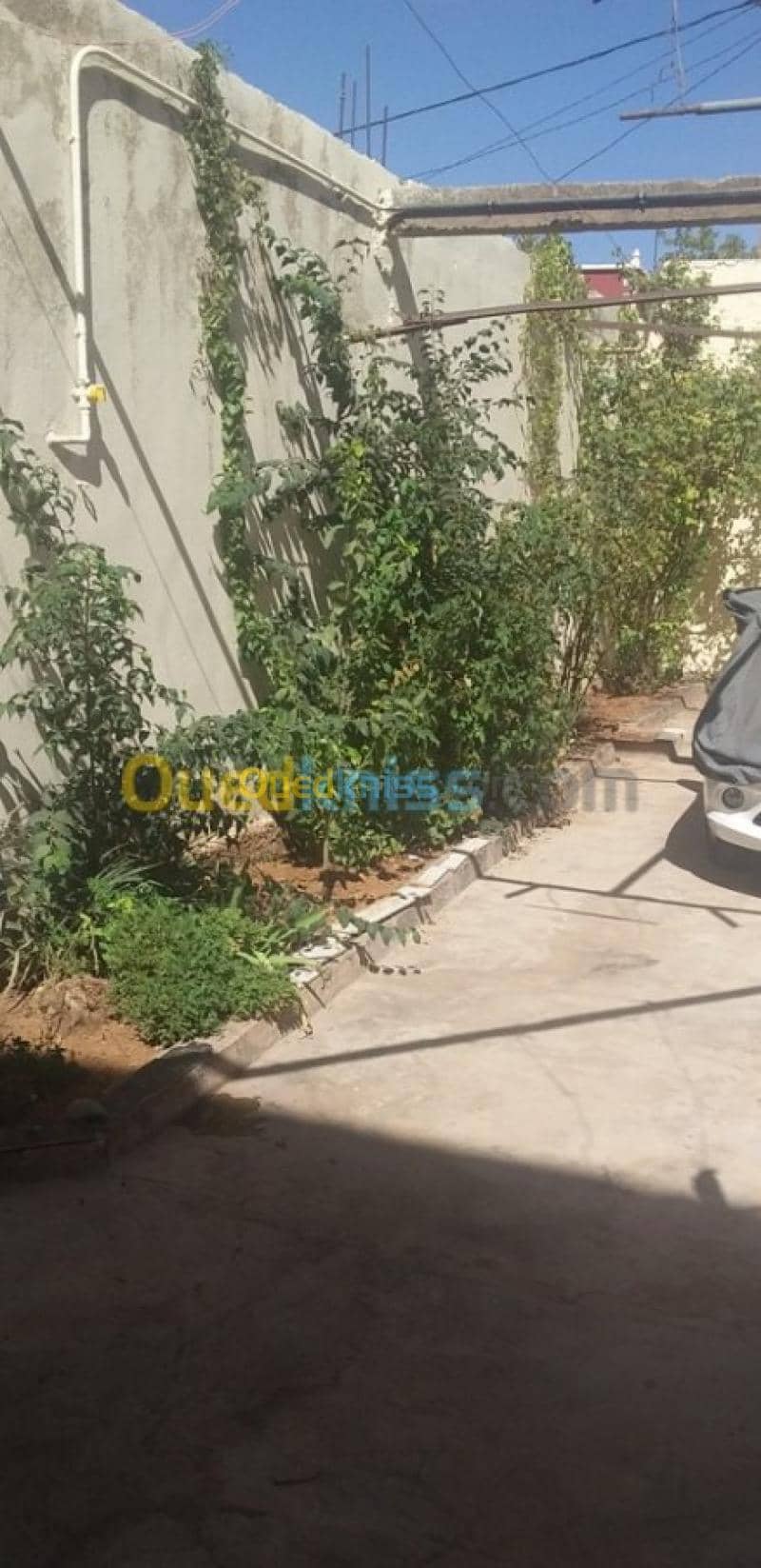 Vente Niveau De Villa F3 Tlemcen Mansourah 3