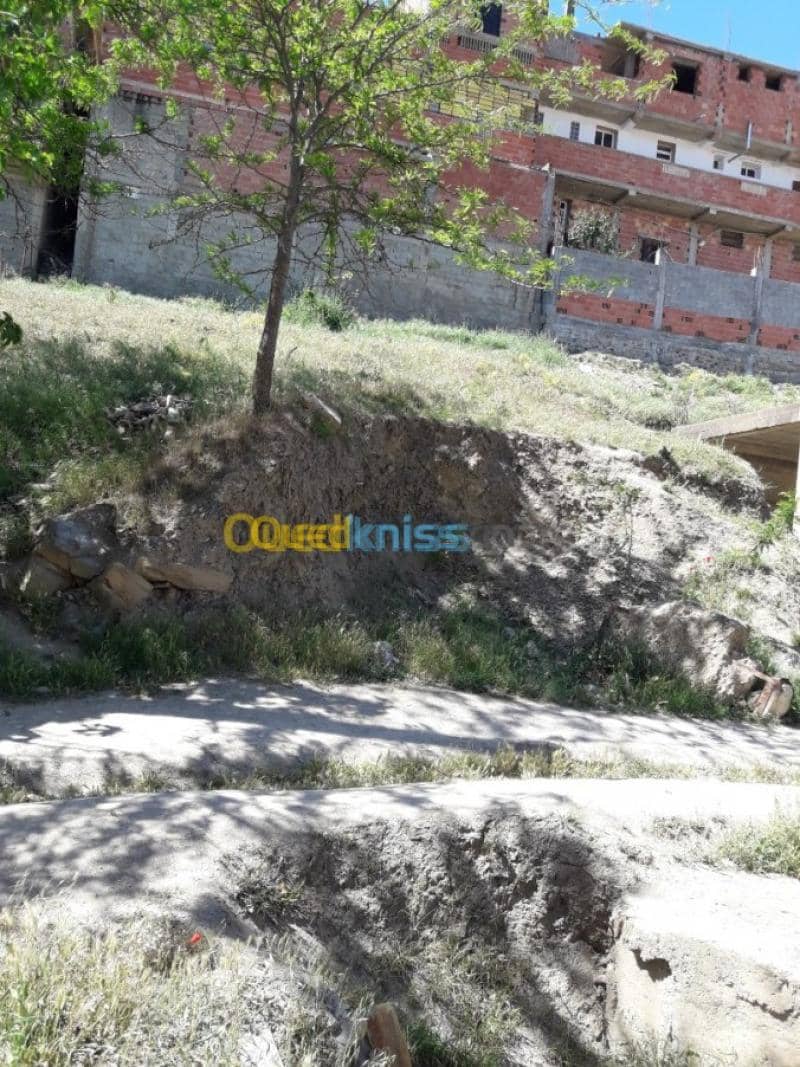 Vente Terrain Bouira Sour el ghouzlane