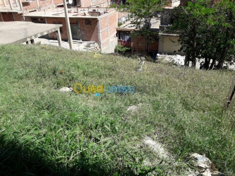 Vente Terrain Bouira Sour el ghouzlane 4