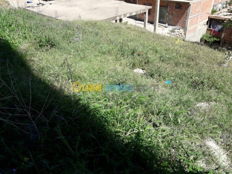 Vente Terrain Bouira Sour el ghouzlane 5