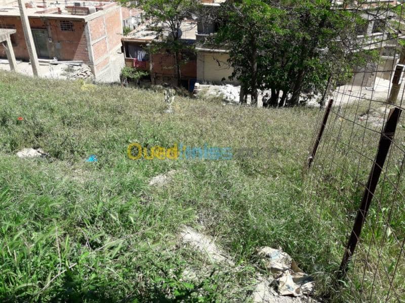 Vente Terrain Bouira Sour el ghouzlane 6
