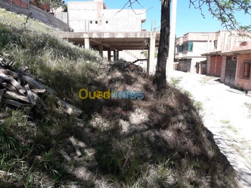 Vente Terrain Bouira Sour el ghouzlane 8
