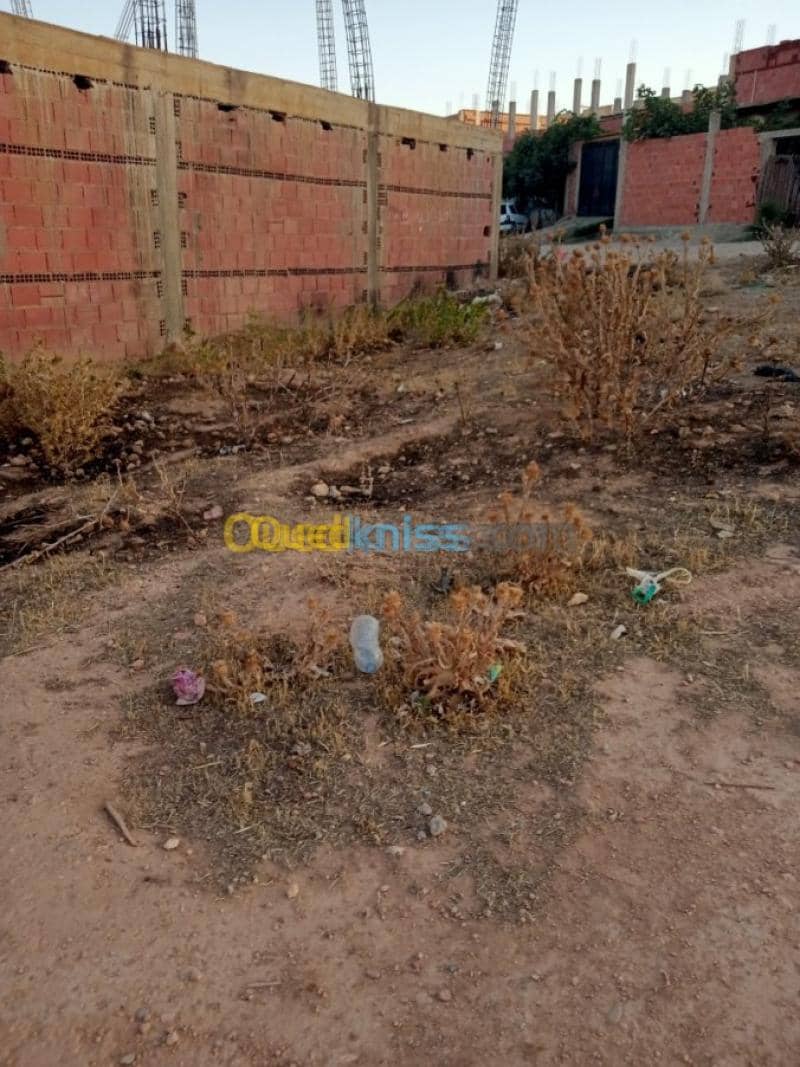 Vente Terrain Chlef Oued sly 4