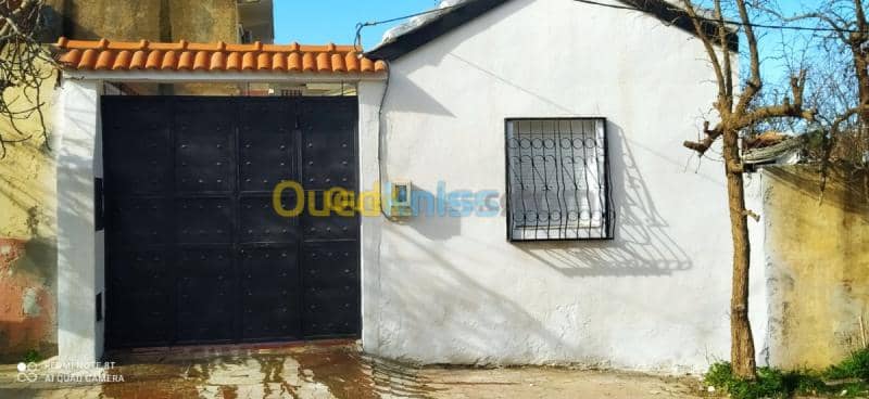 Vente bien immobilier Tipaza Chaiba 7