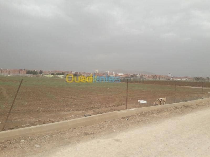 Vente Terrain Mila Chelghoum laid 5