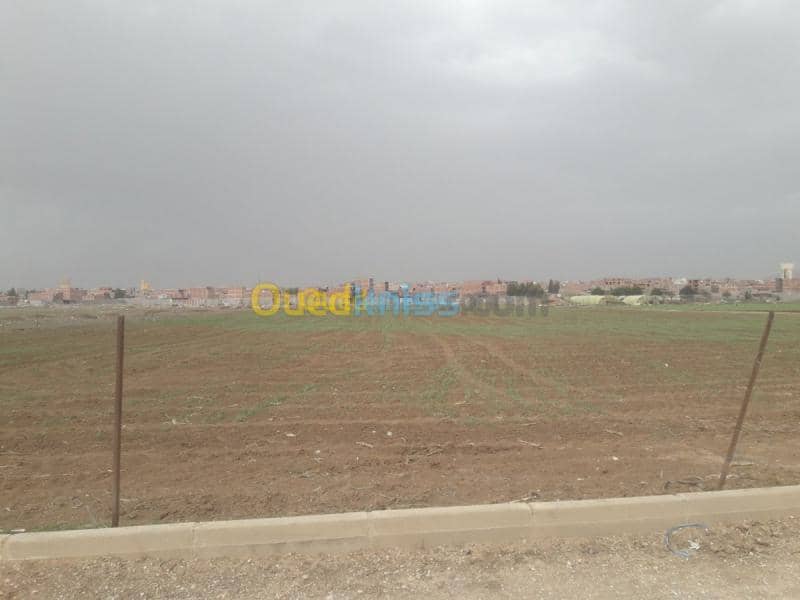 Vente Terrain Mila Chelghoum laid 6