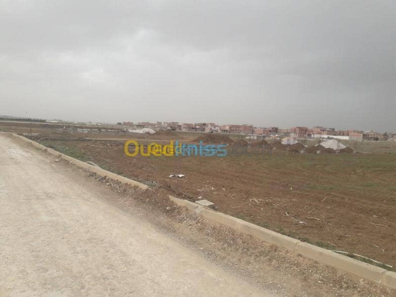 Vente Terrain Mila Chelghoum laid 7