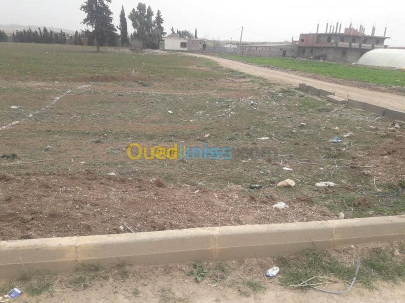 Vente Terrain Mila Chelghoum laid 8