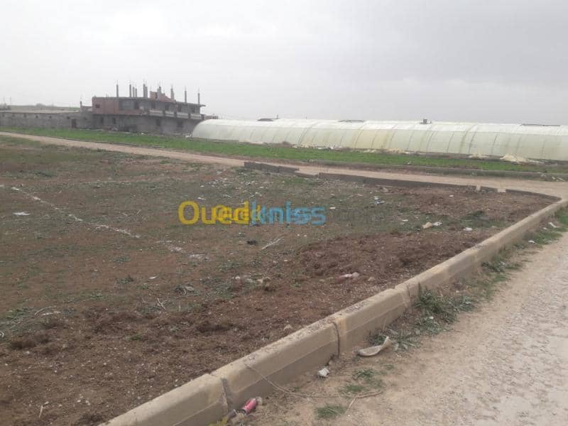 Vente Terrain Mila Chelghoum laid 9
