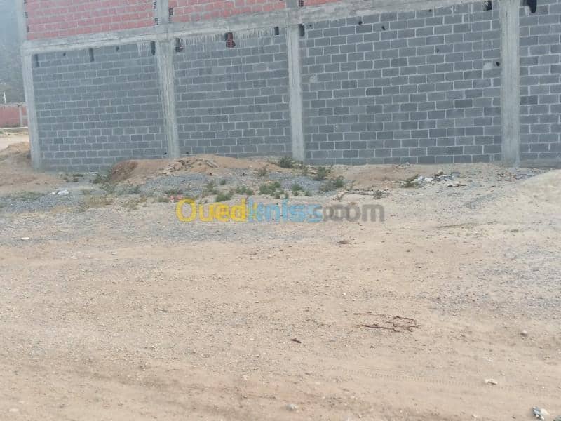 Vente Terrain Tebessa Bekkaria 2