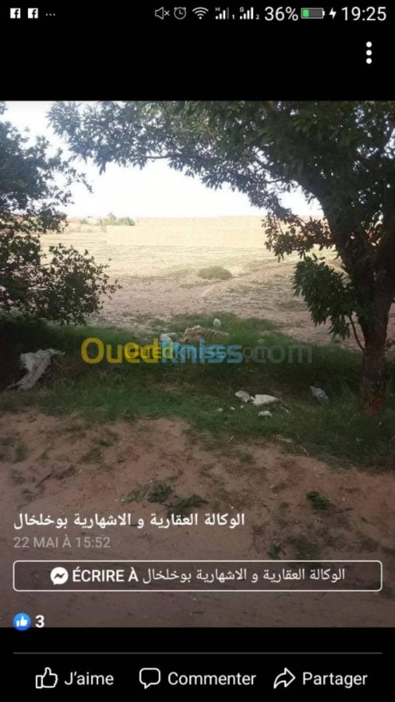 Vente Terrain Laghouat Laghouat