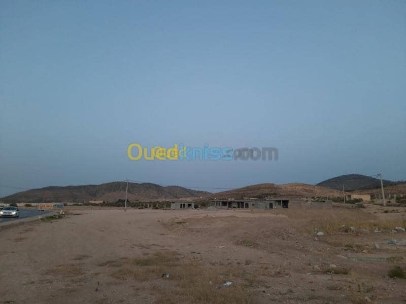 Vente Terrain Tebessa Hammamet