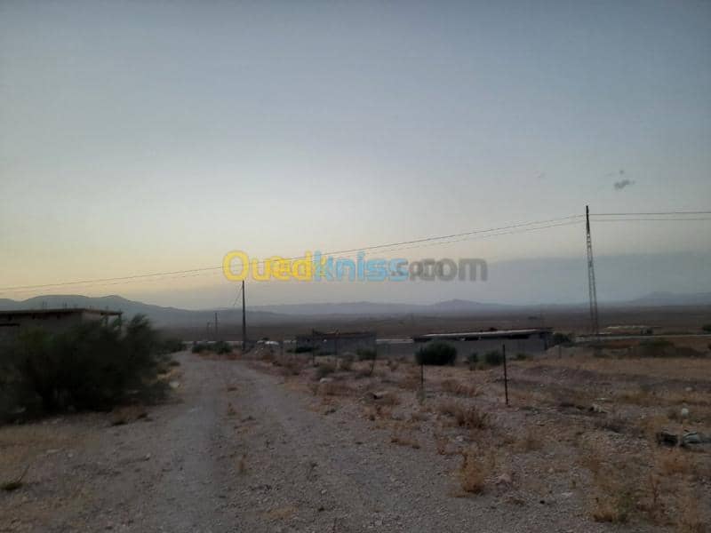 Vente Terrain Tebessa Hammamet 2