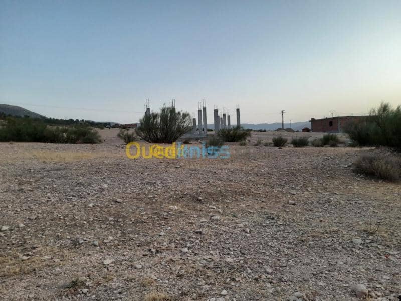 Vente Terrain Tebessa Hammamet 3