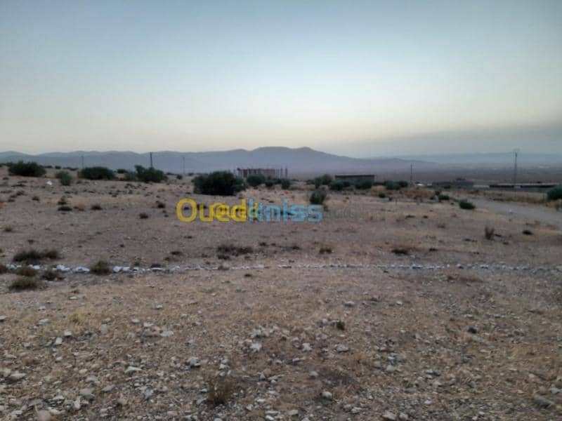 Vente Terrain Tebessa Hammamet 4