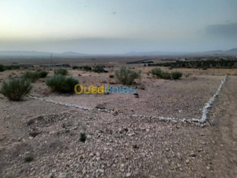 Vente Terrain Tebessa Hammamet 5